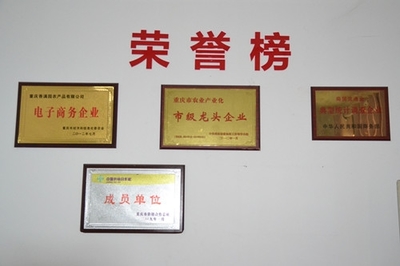 重慶香滿(mǎn)園網(wǎng)上平臺(tái)新版上市:讓農(nóng)產(chǎn)品觸電采購(gòu)