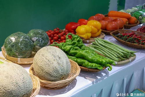 莘縣農(nóng)產(chǎn)品實(shí)現(xiàn)全程安全追溯管理,保障群眾 舌尖上的安全