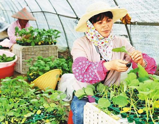 做農產品銷售奠定創業基礎,90后畢業生實現自己的創業夢想