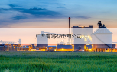 廣西有哪些電商公司 電商企業(yè)業(yè)務內容