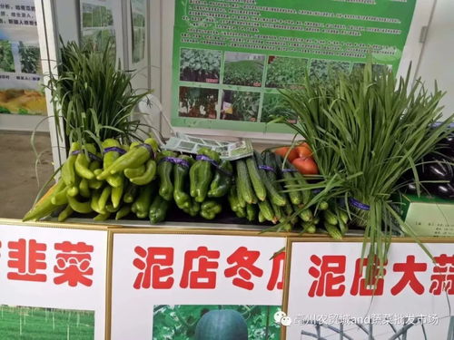 熱烈祝賀2018亳州特色農產品展暨首屆中國農民豐收節(jié)盛大開幕