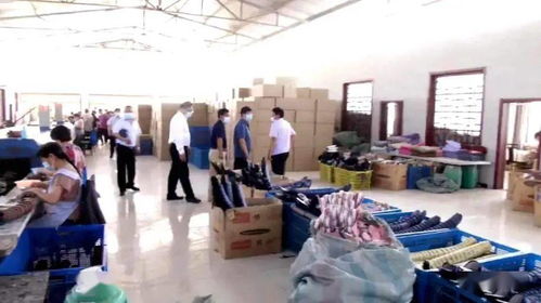 肖家堡采摘園 農(nóng)產(chǎn)品線上銷售新篇章