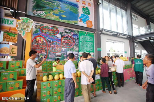 高州市鎮(zhèn)江鎮(zhèn)扶貧農(nóng)產(chǎn)品日銷超14萬元 線上線下融合驅(qū)動家禽銷售新突破