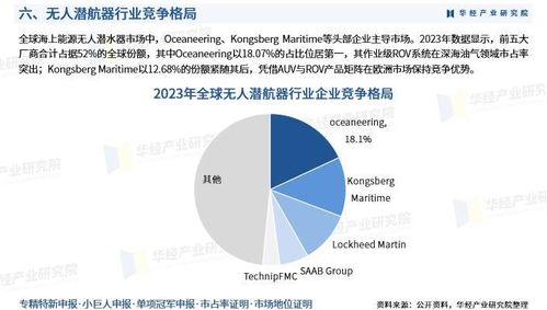 2025年中國無人潛航器行業市場深度分析及投資戰略咨詢報告