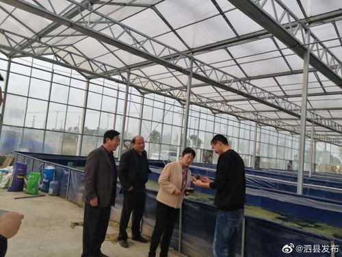 安徽宿州泗縣畜牧水產(chǎn)中心領(lǐng)導(dǎo)班子深入一線，開(kāi)展工廠化水產(chǎn)養(yǎng)殖市場(chǎng)專(zhuān)題調(diào)研